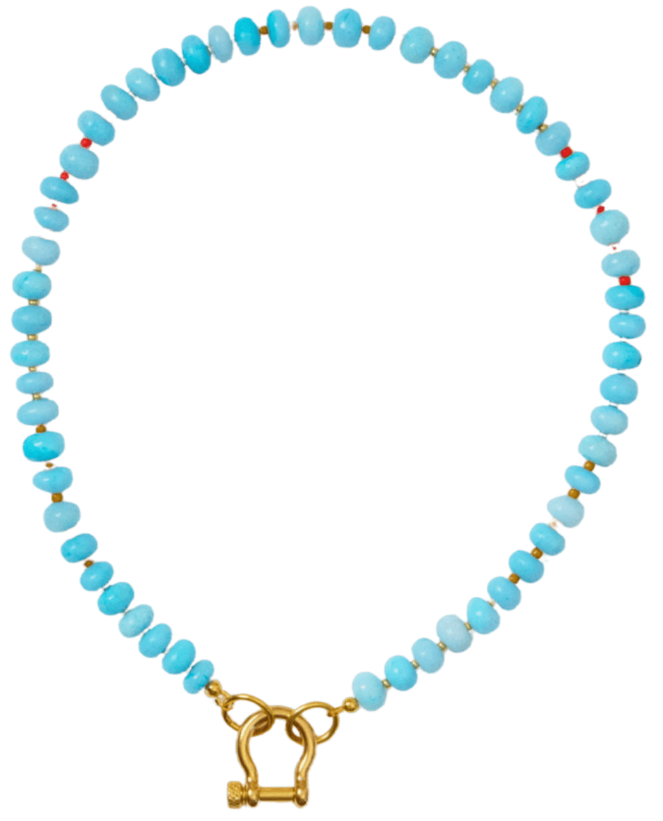 spicy dan necklace flat lay -sky